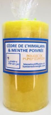 Cèdre de l'Himalaya & Menthe Poivrée 