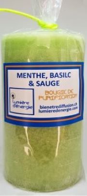 Menthe, Basilic & Sauge (lot de 4)