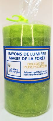 Rayons de Lumière Magie de la Forêt