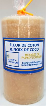 Fleur de Coton & Noix de Coco 