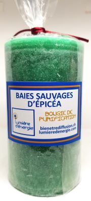 Baies Sauvages d'Épicéa 