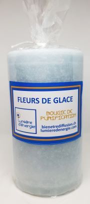 Fleurs de Glace