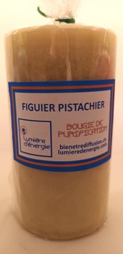 Figuier Pistachier