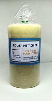Figuier Pistachier